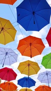 Park sokağında sonbahar temalı şemsiyeler asılı. Park ağaçlarının üzerinde asılı renkli şemsiyeler