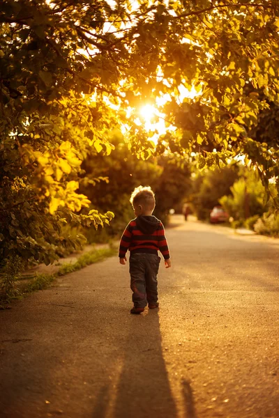 Der kleine Junge zu Fuß — Stockfoto