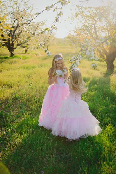 Twee kleine leuke meisjes zusters in roze jurken — Stockfoto