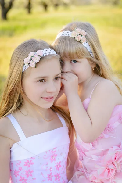 Zwei kleine süße Mädchen Schwestern in rosa Kleidern — Stockfoto