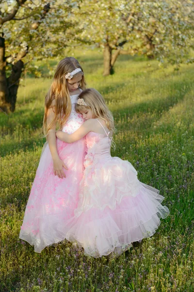 Zwei kleine süße Mädchen Schwestern in rosa Kleidern — Stockfoto