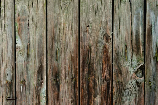 Textura de madeira com arranhões e rachaduras — Fotografia de Stock