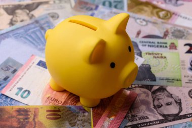 Paper money, banknotes of different countries in several denominations as a business background. Paper money and cash as a financial background for your design.