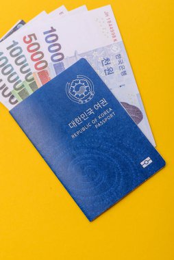 Seyahat etmek, uçmak ve iş yapmak için Kore pasaportu. Güney Kore belgesi, sınırı geçmek için kimlik