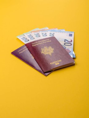 Seyahat etmek, uçmak ve iş yapmak için Fransız pasaportu. Fransa belgesi, sınırı geçmek için kimlik