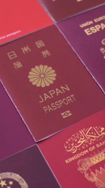 Farklı ülkelerden gelen birkaç pasaport ve uluslararası kimlik kartı. Pasaport