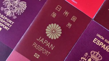 Farklı ülkelerden gelen birkaç pasaport ve uluslararası kimlik kartı. Pasaport