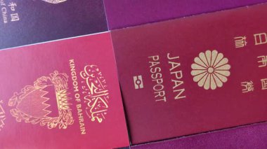 Farklı ülkelerden gelen birkaç pasaport ve uluslararası kimlik kartı. Pasaport