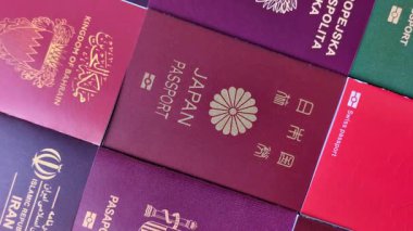 Farklı ülkelerden gelen birkaç pasaport ve uluslararası kimlik kartı. Pasaport