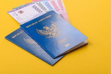 Seyahat, uçmak ve iş yapmak için Endonezya pasaportu. Endonezya belgesi, sınırı geçmek için kimlik