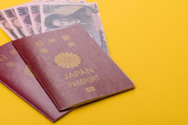 Seyahat etmek, uçmak ve iş yapmak için Japon pasaportu. Japonya belgesi, sınırı geçmek için kimlik