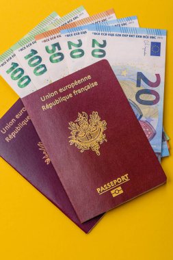 Seyahat etmek, uçmak ve iş yapmak için Fransız pasaportu. Fransa belgesi, sınırı geçmek için kimlik