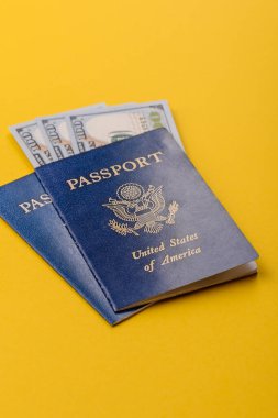 Seyahat, uçmak ve iş yapmak için ABD pasaportu. ABD belgesi, sınırı geçmek için kimlik