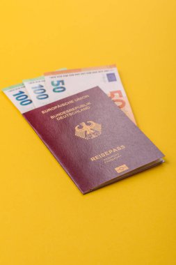 Alman pasaportu, Alman seyahat belgesi, sınır kapısı, iş amaçlı.