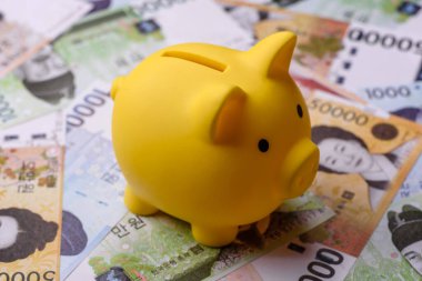 Finansal ve ticari işlemler için Kore kağıt parası, kazanılmış ve nakit para. Tasarımın için arka plan olarak Kore parası