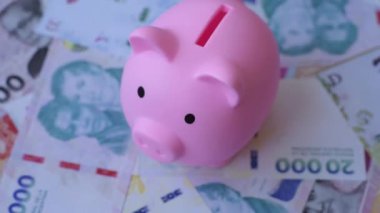 Arjantin kağıt parası, döviz veya seyahat için para birimi olarak peso banknotlar. Arjantin parası