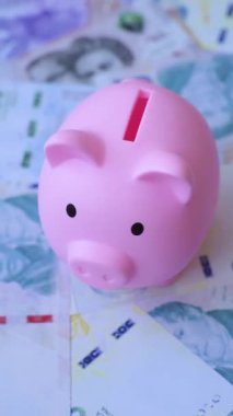 Arjantin kağıt parası, döviz veya seyahat için para birimi olarak peso banknotlar. Arjantin parası