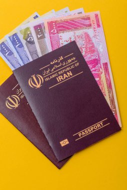 Seyahat etmek, uçmak ve iş yapmak için İran pasaportu. İran belgesi, sınırı geçmek için kimlik