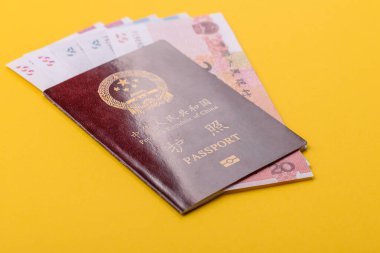 Çin Vatandaş Pasaportu, Küresel iş, göç veya seyahat için Çin belgesi