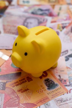 Bir domuz kumbarası depolama, biriktirme ve finansal kaynaklar biriktirme konsepti olarak kullanılıyor. Tasarımınız için bir kumbara..