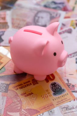 Bir domuz kumbarası depolama, biriktirme ve finansal kaynaklar biriktirme konsepti olarak kullanılıyor. Tasarımınız için bir kumbara..