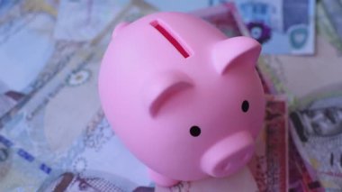 Bahçe kağıdı parası, para birimi olarak dinar banknotları takas ya da seyahat için. Bahreyn parası bir iş geçmişi olarak