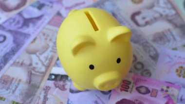 Tayland kağıt parası, para birimi olarak dinar banknotları ya da seyahat. İş geçmişi olarak Tayland parası