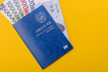 Seyahat etmek, uçmak ve iş yapmak için Kore pasaportu. Güney Kore belgesi, sınırı geçmek için kimlik