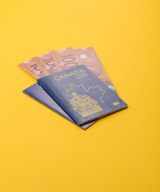 Seyahat etmek, uçmak ve iş yapmak için Kanada pasaportu. Kanada belgesi, sınırı geçmek için kimlik