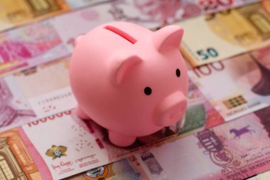 Bir domuz kumbarası depolama, biriktirme ve finansal kaynaklar biriktirme konsepti olarak kullanılıyor. Tasarımınız için bir kumbara.