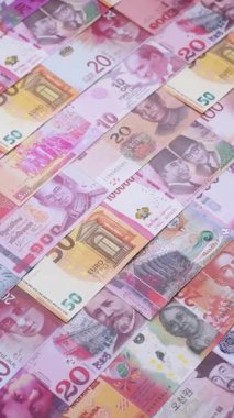 Para geçmişi, döviz kuru, farklı ülkelerden gelen kağıt banknotlar. Para nakit para birimi