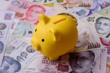 Bir domuz kumbarası depolama, biriktirme ve finansal kaynaklar biriktirme konsepti olarak kullanılıyor. Tasarımınız için bir kumbara.