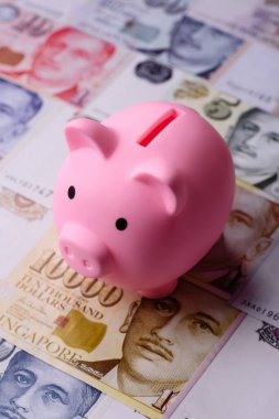 Bir domuz kumbarası depolama, biriktirme ve finansal kaynaklar biriktirme konsepti olarak kullanılıyor. Tasarımınız için bir kumbara.