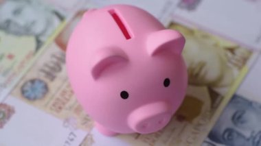 Bir domuz kumbarası depolama, biriktirme ve finansal kaynaklar biriktirme konsepti olarak kullanılıyor. Tasarımınız için bir kumbara.