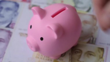 Bir domuz kumbarası depolama, biriktirme ve finansal kaynaklar biriktirme konsepti olarak kullanılıyor. Tasarımınız için bir kumbara.