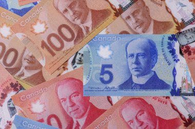 Para, Kanada para birimi, çeşitli banknotların dolar banknotları. Tasarımınız için Kanada parası