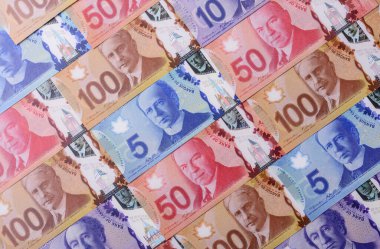 Para, Kanada para birimi, çeşitli banknotların dolar banknotları. Tasarımınız için Kanada parası