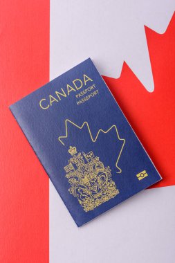 Kanada pasaportu, uluslararası seyahat ve tatil için Kanada vizesi. Tasarımınız için Kanada pasaportu