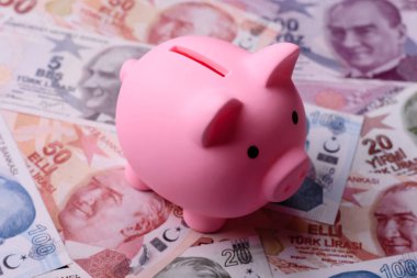 Bir domuz kumbarası depolama, biriktirme ve finansal kaynaklar biriktirme konsepti olarak kullanılıyor. Tasarımınız için bir kumbara.