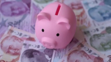 Bir domuz kumbarası depolama, biriktirme ve finansal kaynaklar biriktirme konsepti olarak kullanılıyor. Domuz kumbarası.