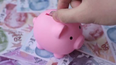 Bir domuz kumbarası depolama, biriktirme ve finansal kaynaklar biriktirme konsepti olarak kullanılıyor. Domuz kumbarası.