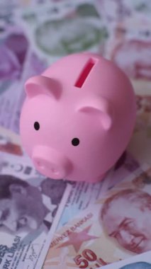 Bir domuz kumbarası depolama, biriktirme ve finansal kaynaklar biriktirme konsepti olarak kullanılıyor. Domuz kumbarası.