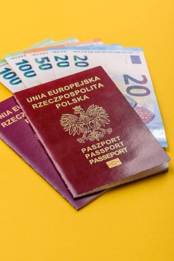 Polonya pasaportu seyahat, uçmak ve iş yapmak için. Polonya belgesi, sınırı geçmek için kimlik