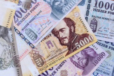 Macar forinti, nakit para, Macaristan para birimi, finansal işlemler için banknotlar. Tasarımınız için finansal arka plan olarak Macar forinti