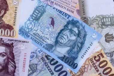 Macar forinti, nakit para, Macaristan para birimi, finansal işlemler için banknotlar. Tasarımınız için finansal arka plan olarak Macar forinti