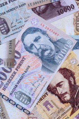 Macar forinti, nakit para, Macaristan para birimi, finansal işlemler için banknotlar. Tasarımınız için finansal arka plan olarak Macar forinti