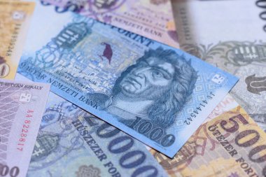 Macar forinti, nakit para, Macaristan para birimi, finansal işlemler için banknotlar. Tasarımınız için finansal arka plan olarak Macar forinti