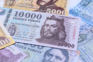 Macar forinti, nakit para, Macaristan para birimi, finansal işlemler için banknotlar. Tasarımınız için finansal arka plan olarak Macar forinti