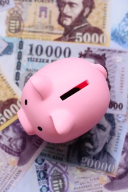 Bir domuz kumbarası depolama, biriktirme ve finansal kaynaklar biriktirme konsepti olarak kullanılıyor. Tasarımınız için bir kumbara.