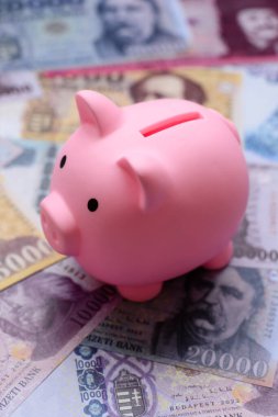 Bir domuz kumbarası depolama, biriktirme ve finansal kaynaklar biriktirme konsepti olarak kullanılıyor. Tasarımınız için bir kumbara.